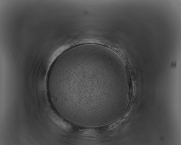 X0000093470104200710191153