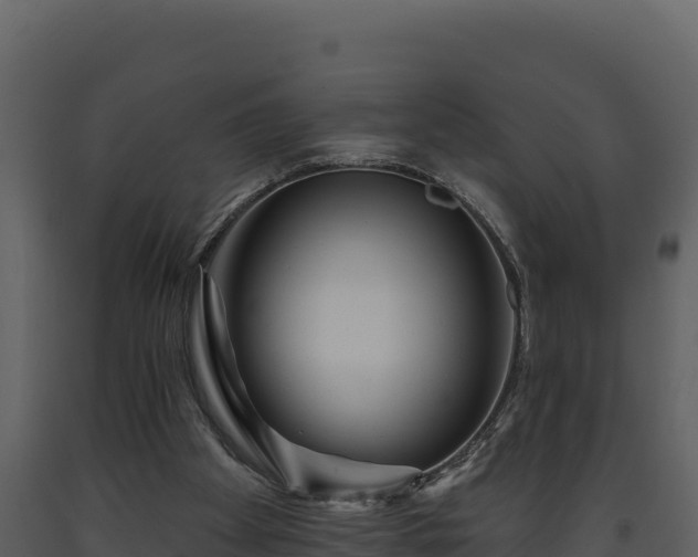 X0000093470105200710191153