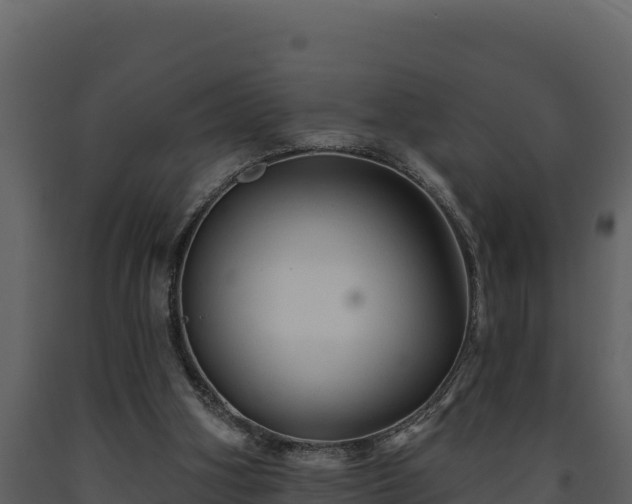 X0000093470106200710191153