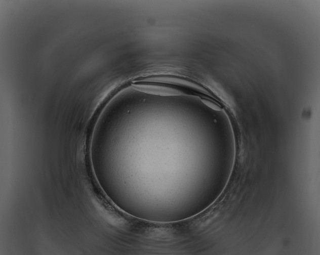 X0000093470107200710191153