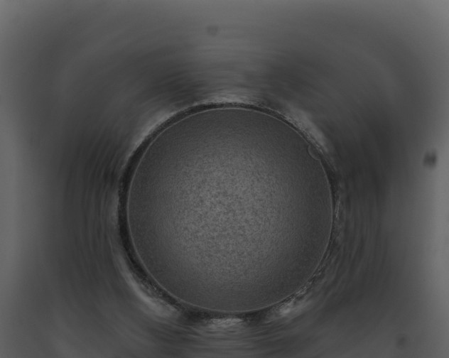 X0000093470108200710191153