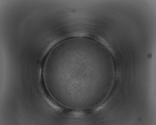 X0000093470110200710191153