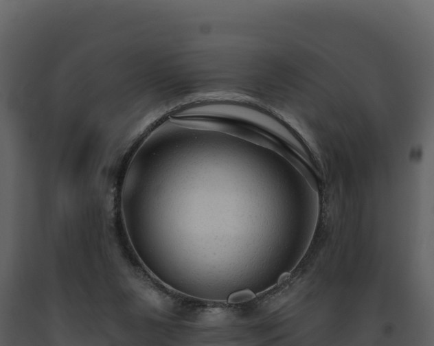 X0000093470111200710191153