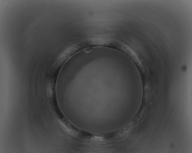 X0000093470114200710191153