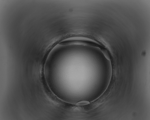 X0000093470115200710191153