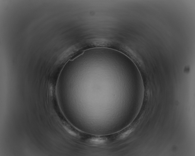 X0000093470117200710191153