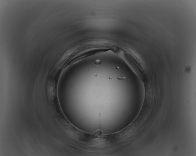 X0000093470119200710191153