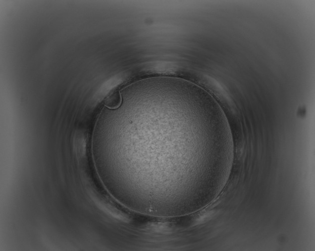 X0000093470120200710191153