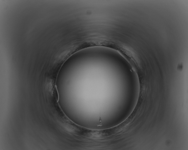 X0000093470121200710191153