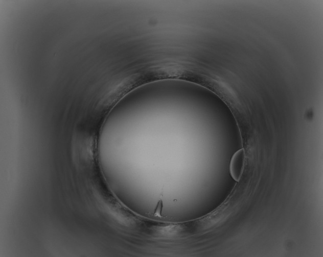 X0000093470122200710191153