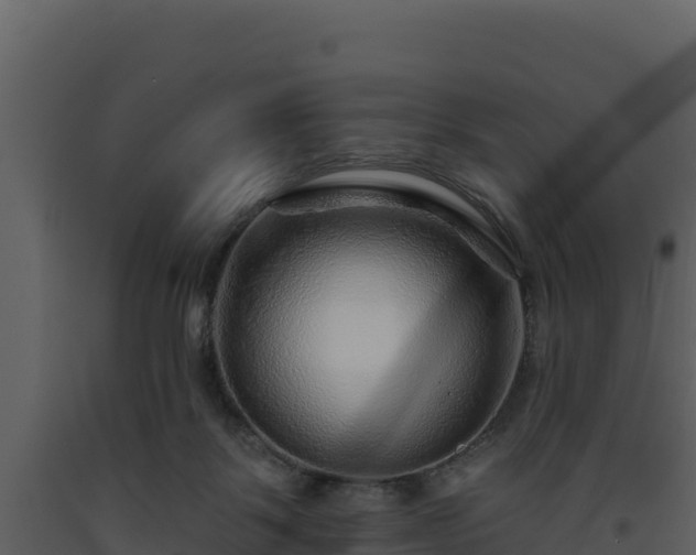 X0000093470123200710191153