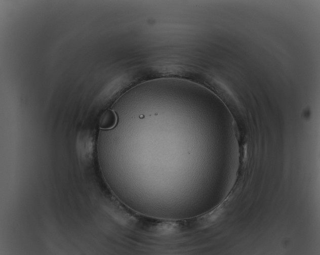 X0000093470124200710191153