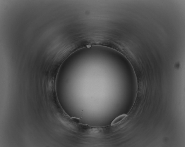 X0000093470126200710191153