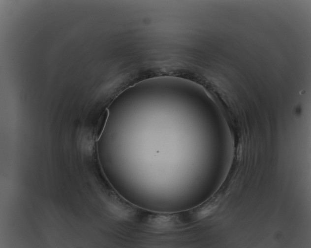 X0000093470129200710191153