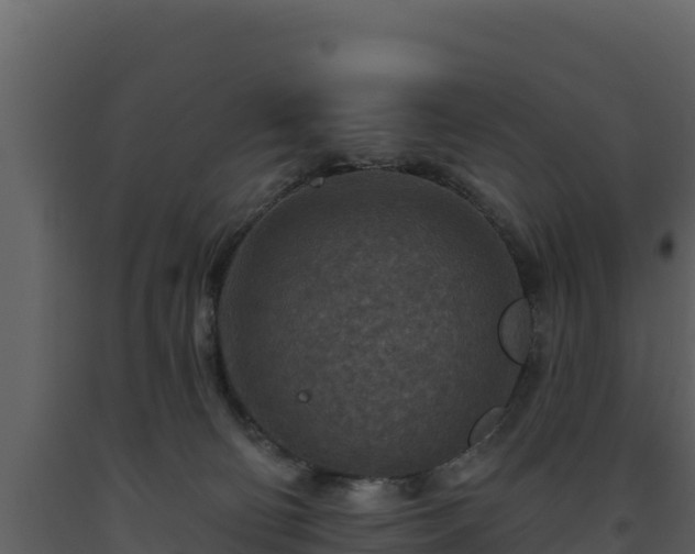 X0000093470130200710191153