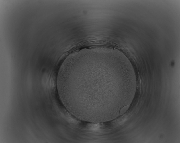 X0000093470131200710191153