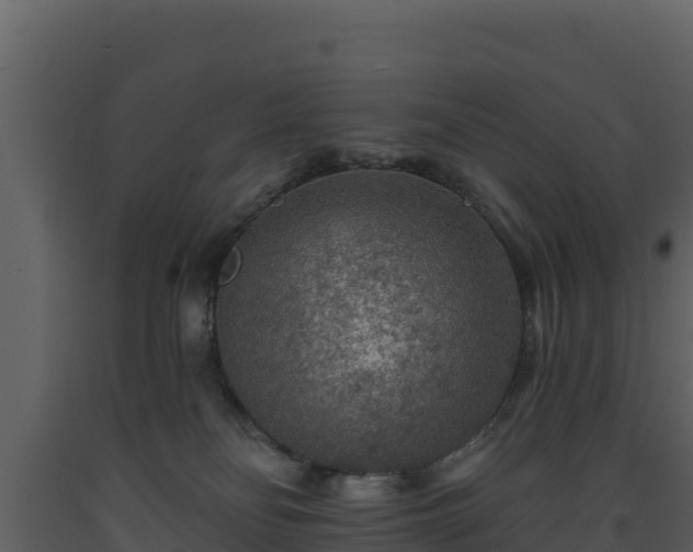 X0000093470134200710191153