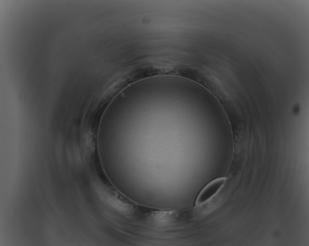 X0000093470136200710191153