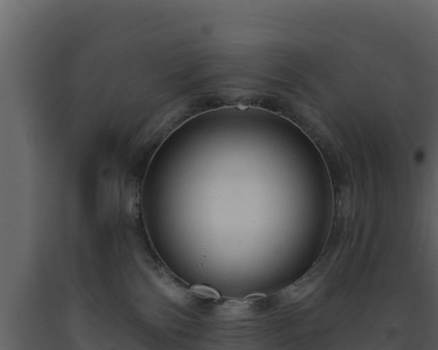 X0000093470138200710191153