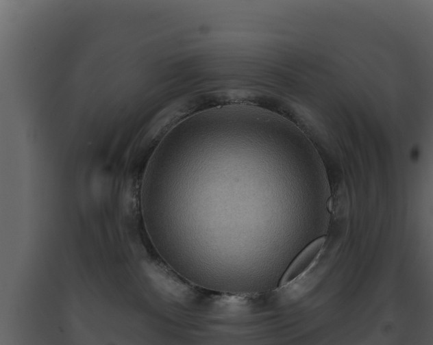 X0000093470140200710191153