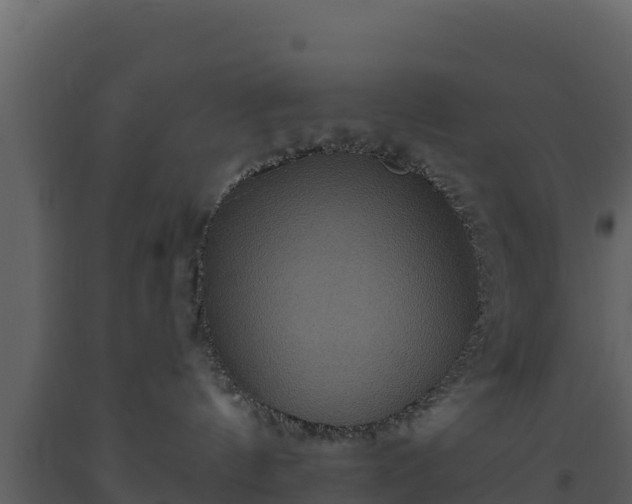 X0000093470144200710191153