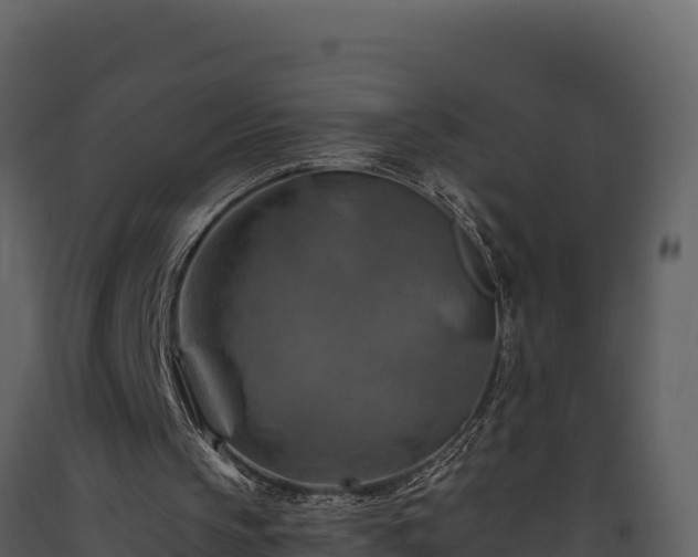 X0000093470145200710191152