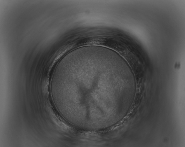 X0000093470146200710191152