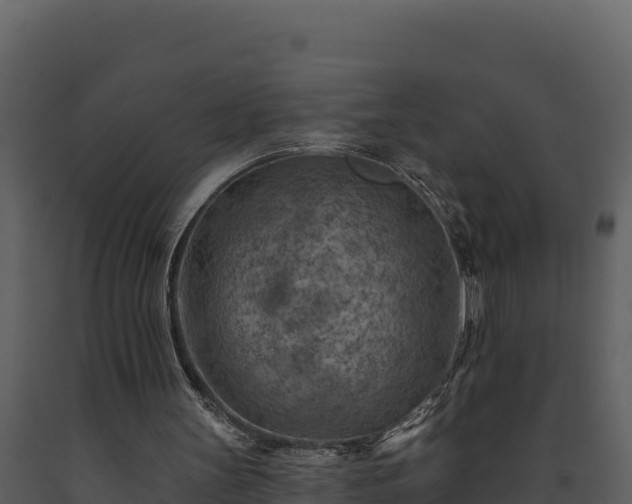 X0000093470147200710191152