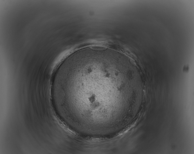 X0000093470149200710191152