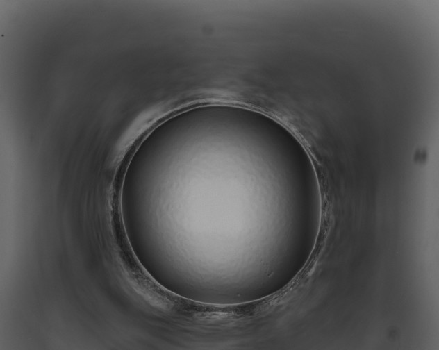 X0000093470151200710191152