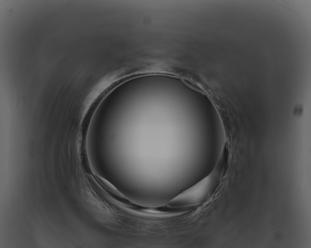 X0000093470152200710191152