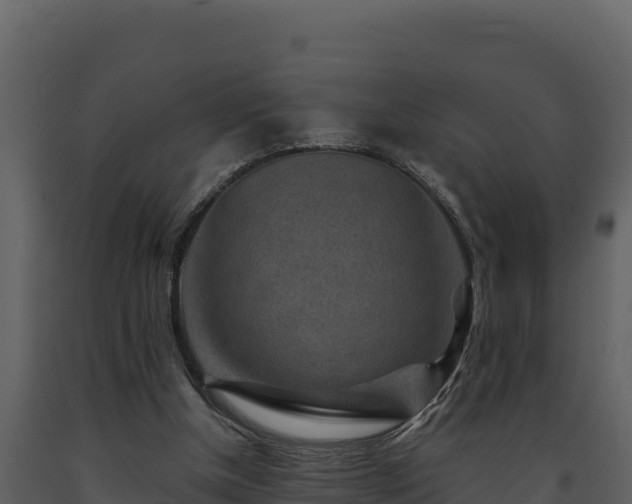 X0000093470154200710191152