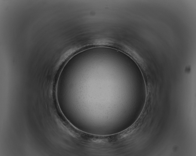 X0000093470155200710191152