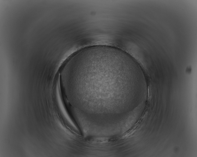 X0000093470156200710191152