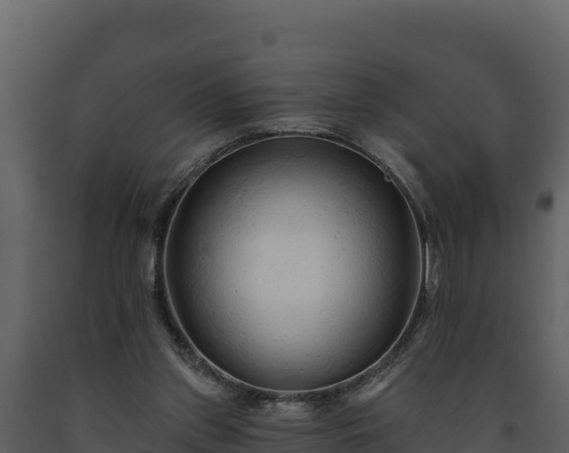 X0000093470157200710191152