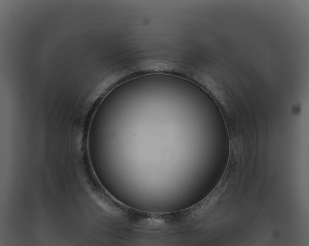 X0000093470159200710191152