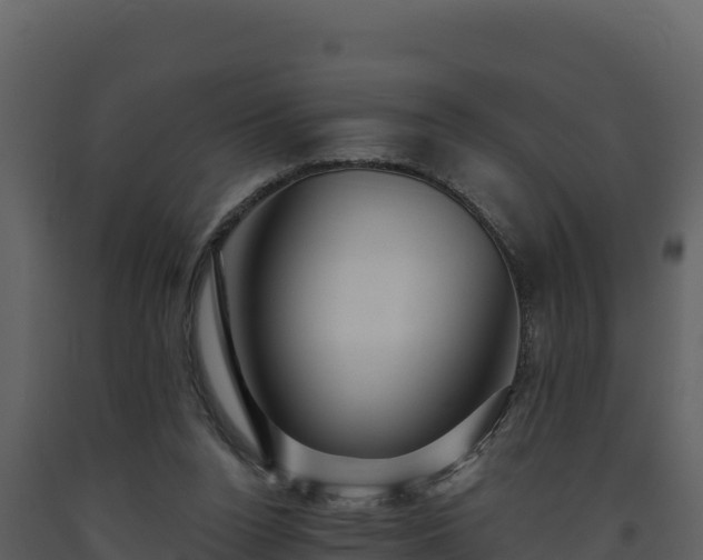 X0000093470160200710191152