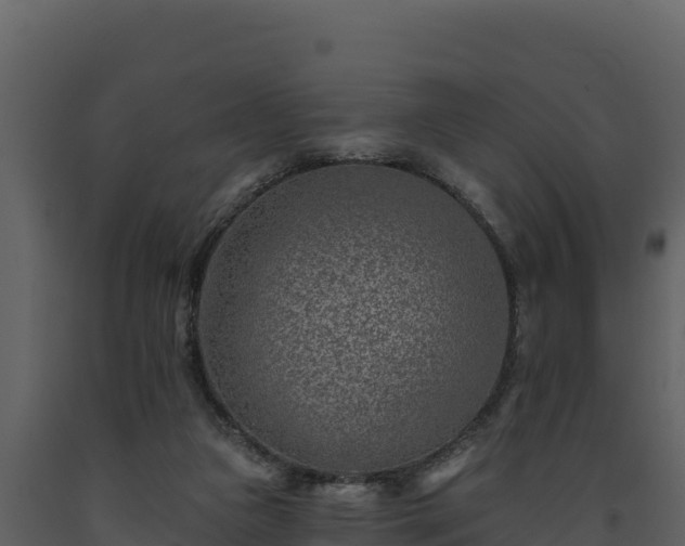 X0000093470161200710191152