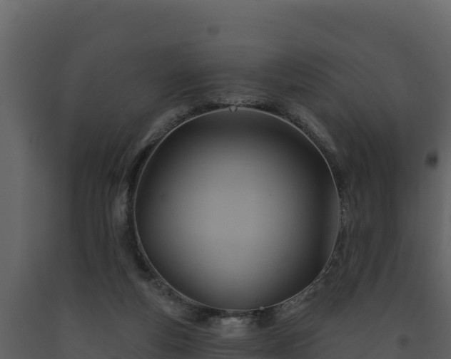 X0000093470163200710191152