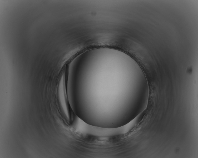 X0000093470164200710191152