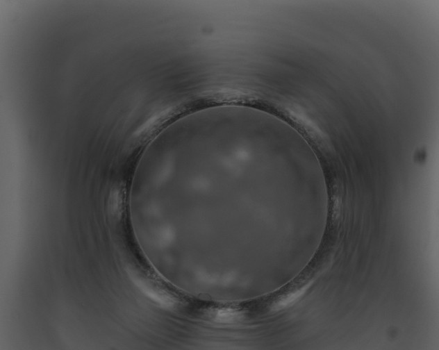 X0000093470165200710191152