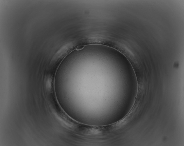 X0000093470166200710191152