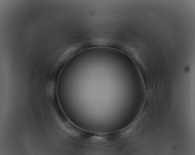 X0000093470167200710191153