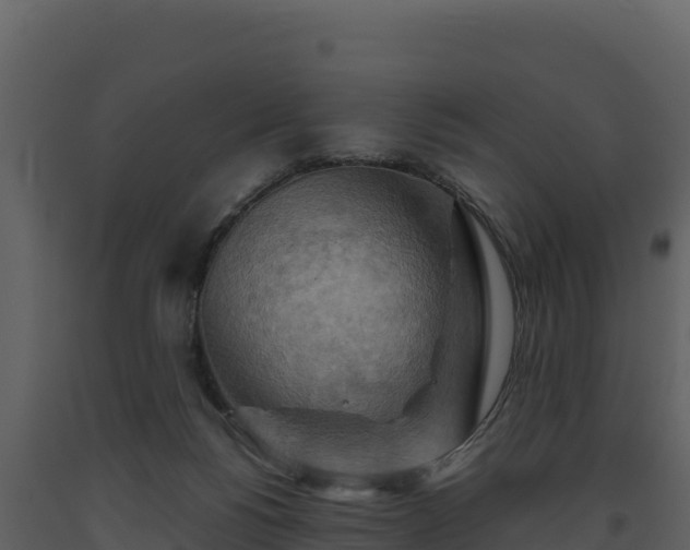 X0000093470168200710191153