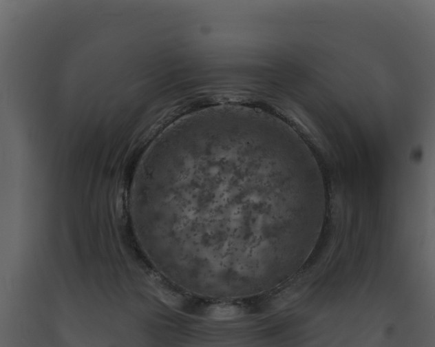 X0000093470169200710191153