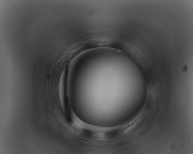 X0000093470170200710191153