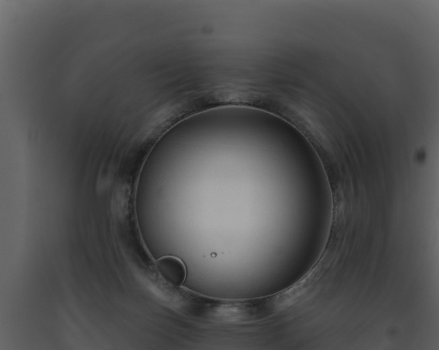 X0000093470171200710191153