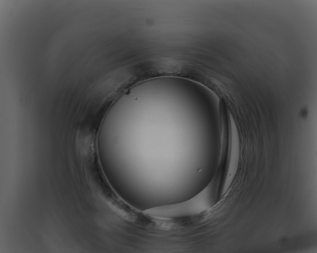 X0000093470172200710191153