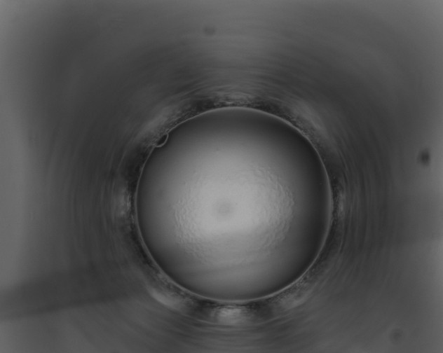 X0000093470173200710191153