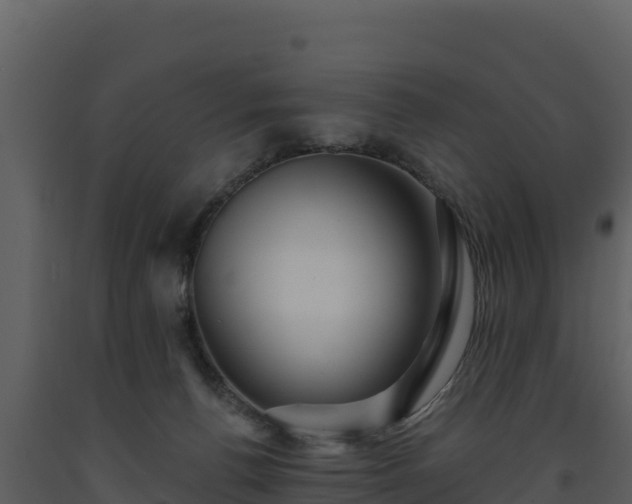 X0000093470176200710191153